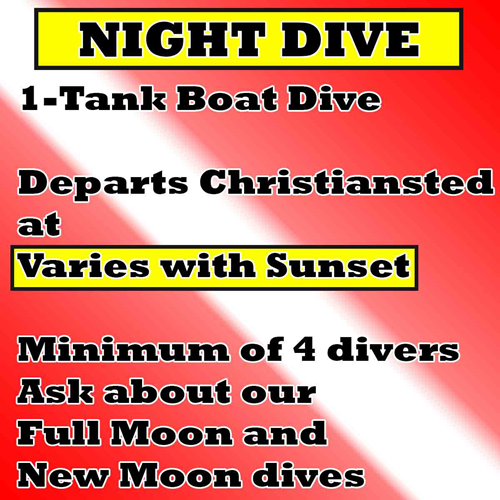 Night Dive Boat